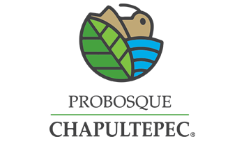 probosque_chapultepec